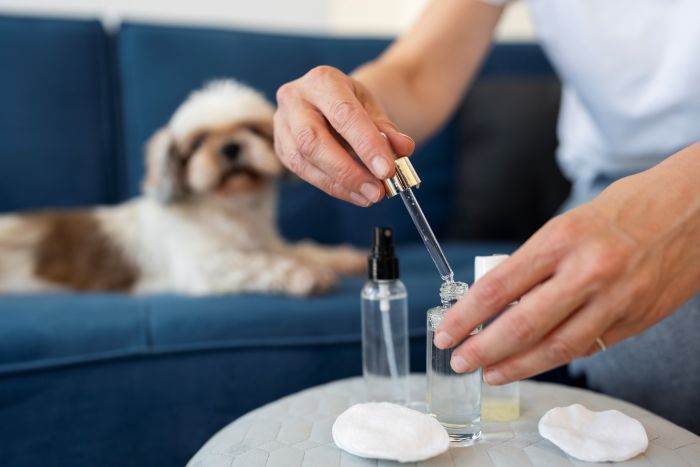CBD oil for pets