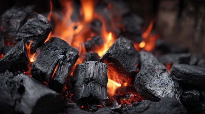 Biochar Carbon Credits